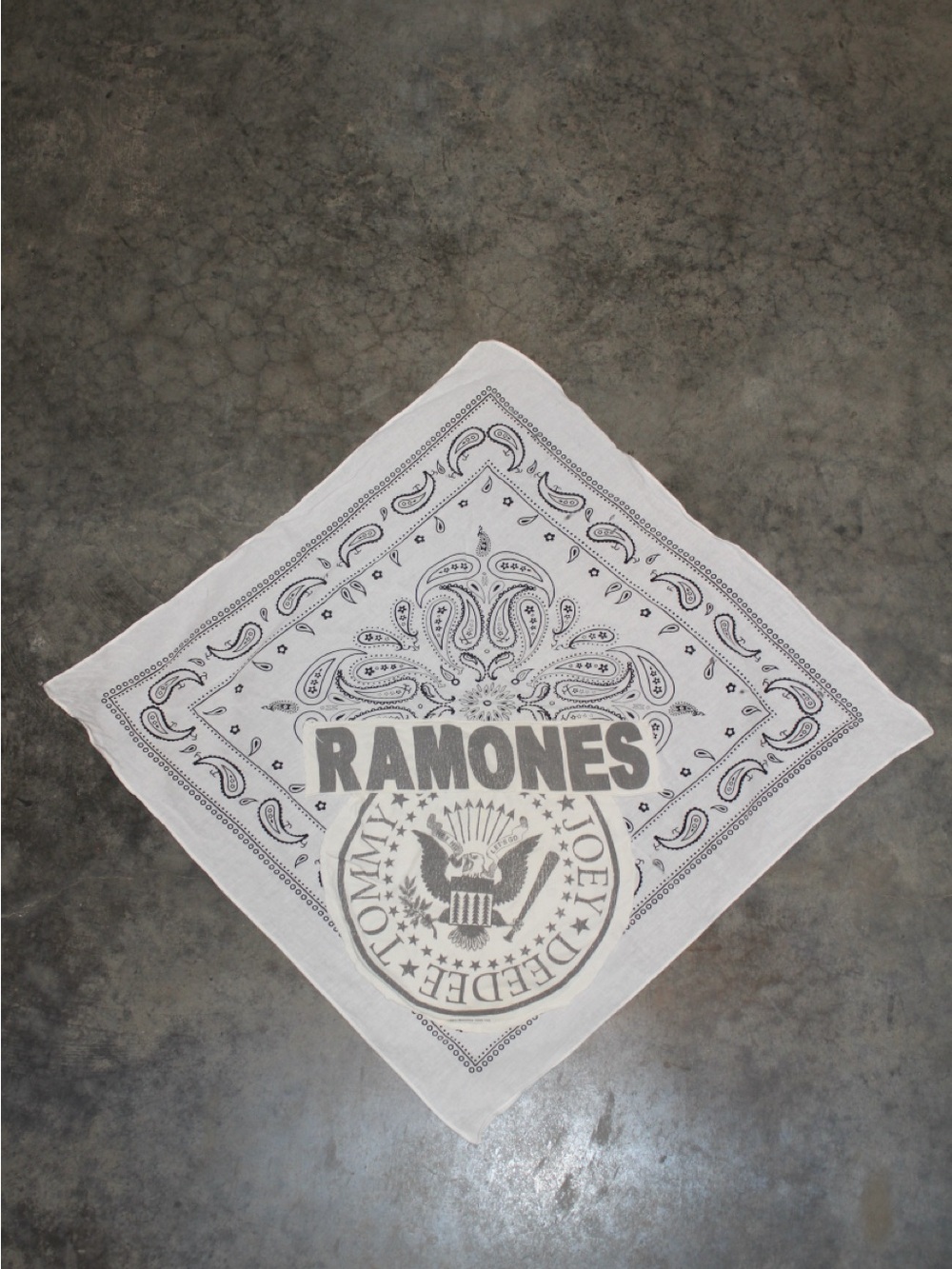 Ramones White Printed Pocket Square - Band Logo Paisley Design